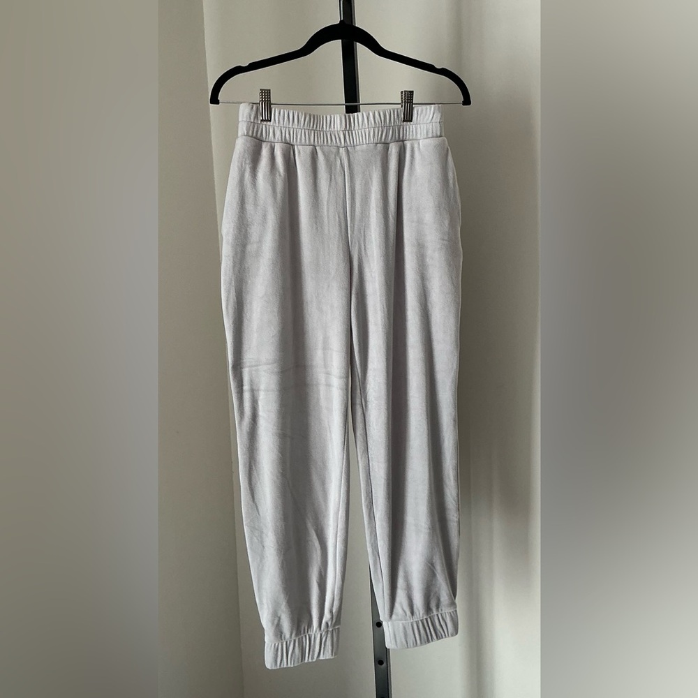 🆕 Express | Velour Jogger Pants
